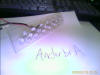 IMAGE_00038.jpg (42518 bytes)