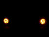IMAG0052.jpg (11359 bytes)
